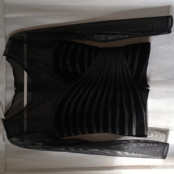 Vintage Sheer Velvet Ling Sleeve top - Picture 1 of 3